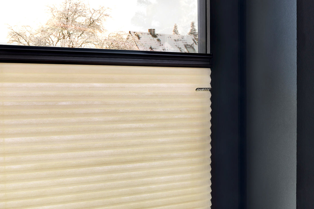 Helles DUETTE® Wabenplissee mit dunkler Schiene am Fenster