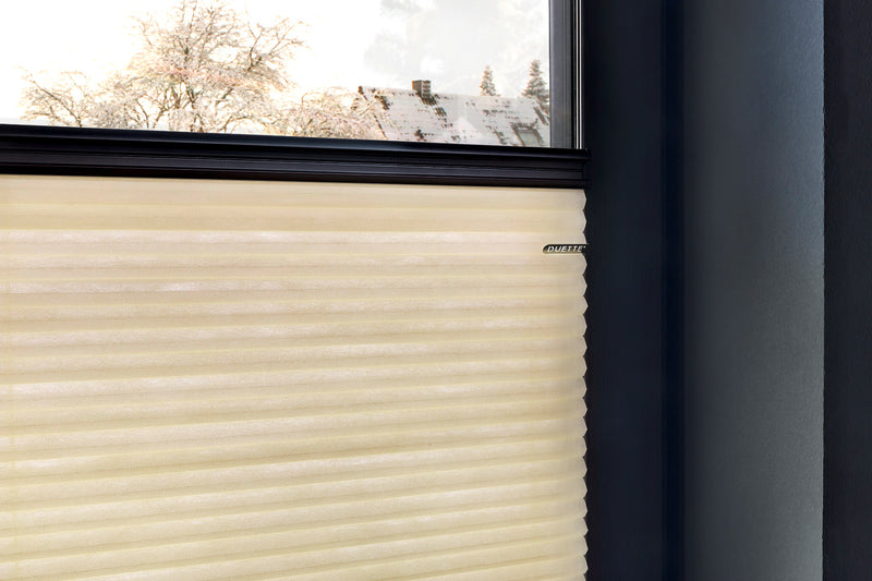 DUETTE® Wabenplissee am Fenster
